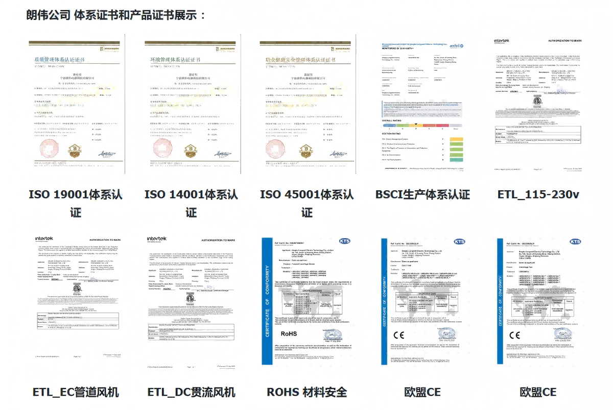 證書 中文png